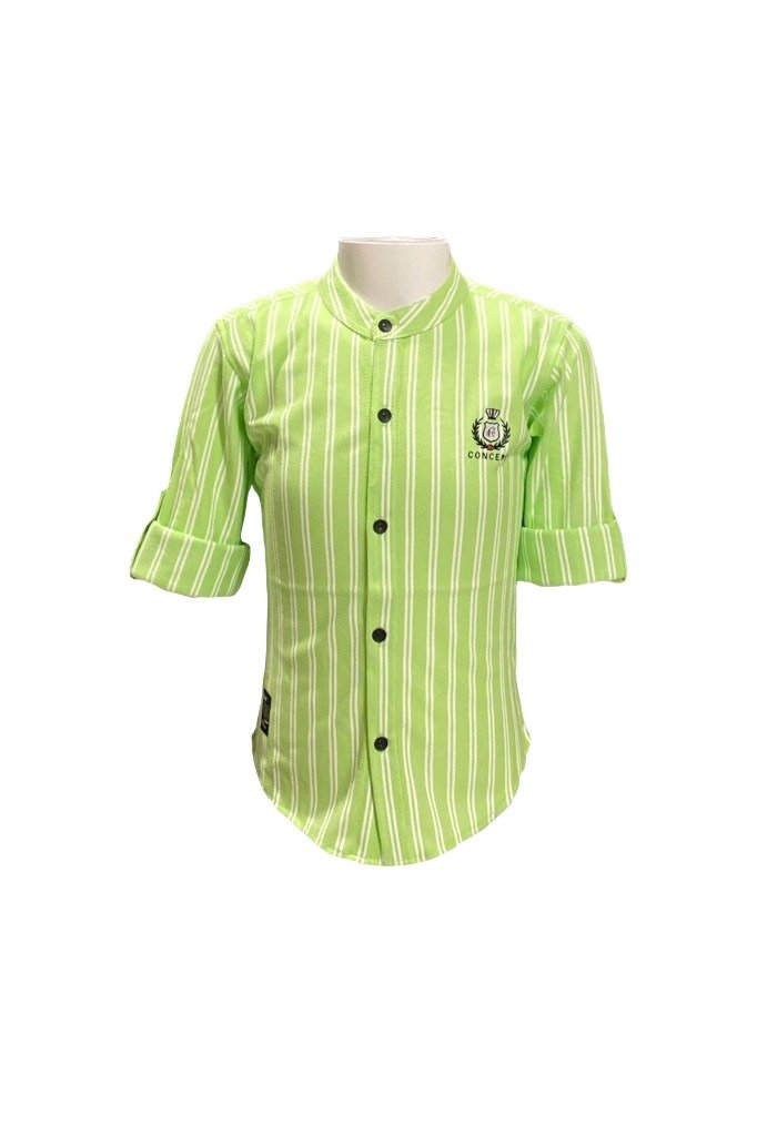 Stylish and Comfortable Shirt for Boys in Green