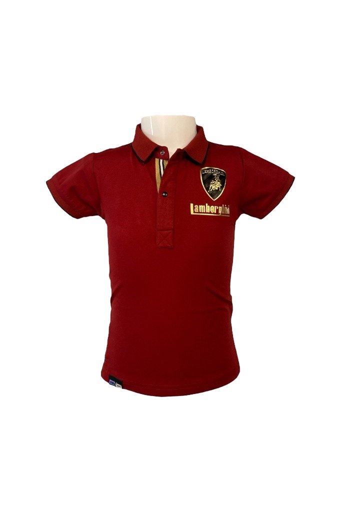 Smart Collared T-Shirt for Boys in Maroon
