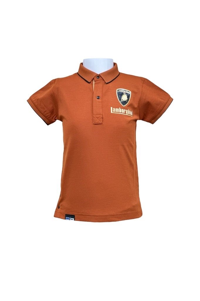 Smart Collared T-Shirt for Boys in Rust