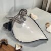 DECORATIVE SEASHELL DESIGN BOWL - Image 3