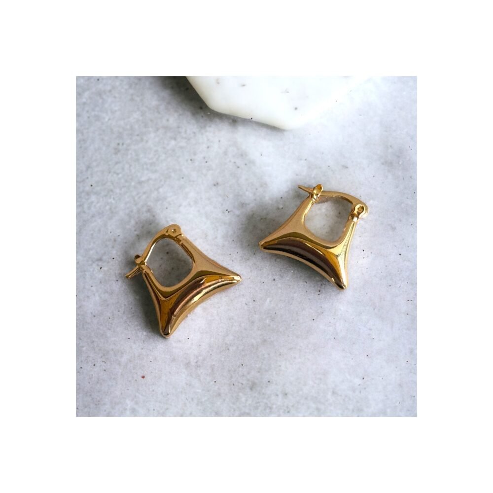 Earring Western