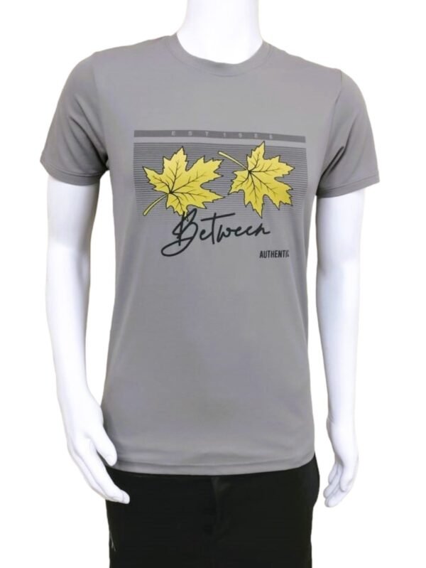 Snowdon Half Sleeves T-Shirt in Grey - Large