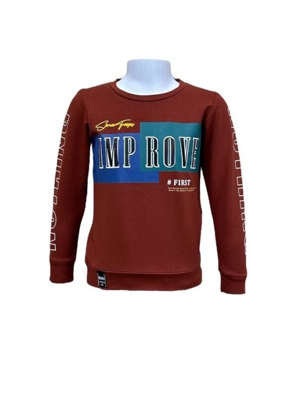 Boys Sweatshirt in Brown - 18