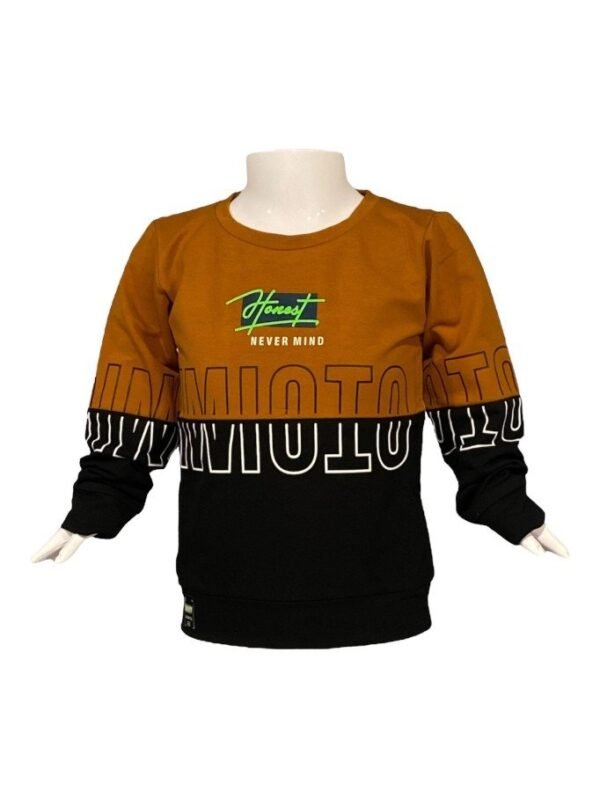 Comfortable Boys Sweatshirt in Tan - 22