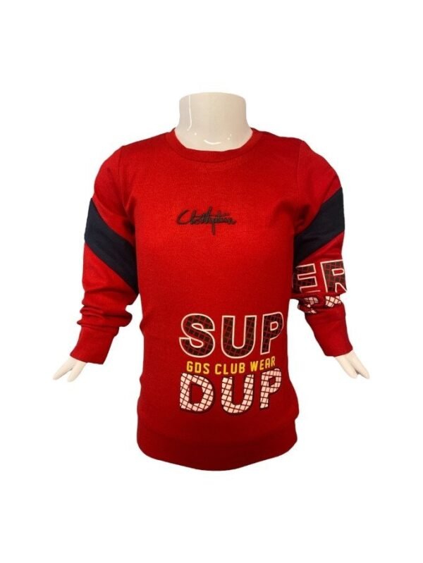 Boys Sweatshirt in Red - 20